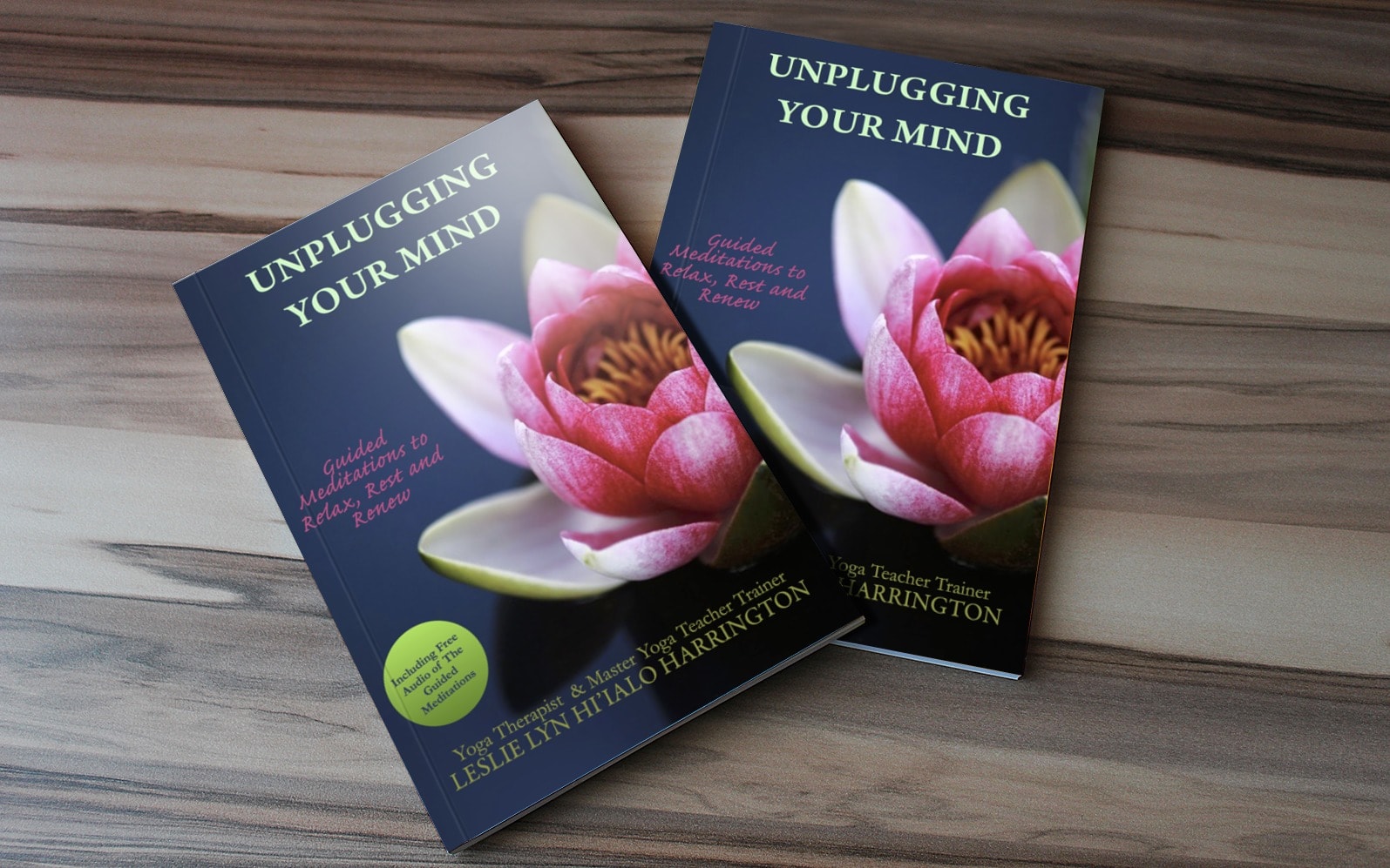 Unplugging Your Mind book covers by Leslie L. Harrington